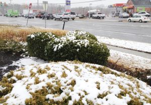 Snow tilton