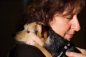 Rescue dogs from Gulf  hop a flight to better life