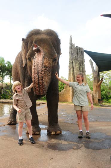 Little Croc Hunters top lineup on YouTube pet channel