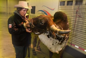 Rodeo Guy Collins