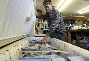 sea isle bait and tackle