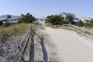 Avalon dunes