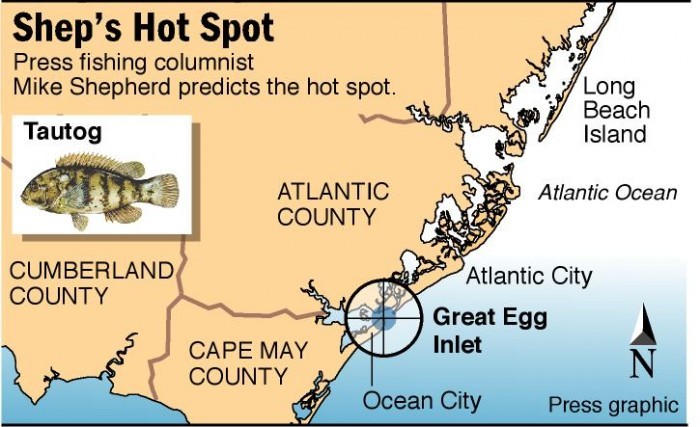 hot spot tautog