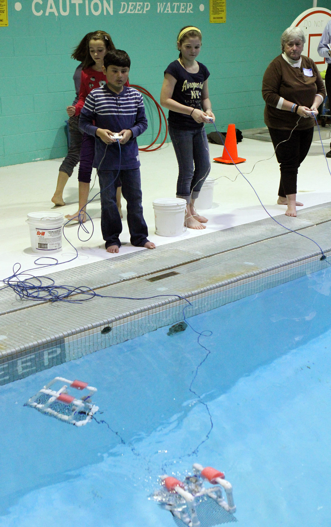 Diving into their studies