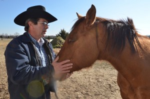 Rodeo - Guy Collins