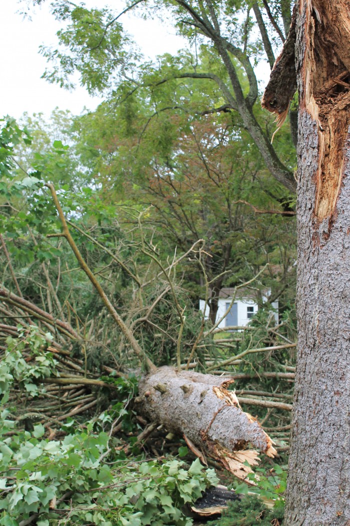 Port Republic Storm111352847.jpg