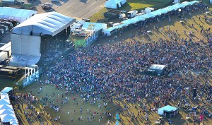 phish