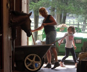 Meadow Creek Farm