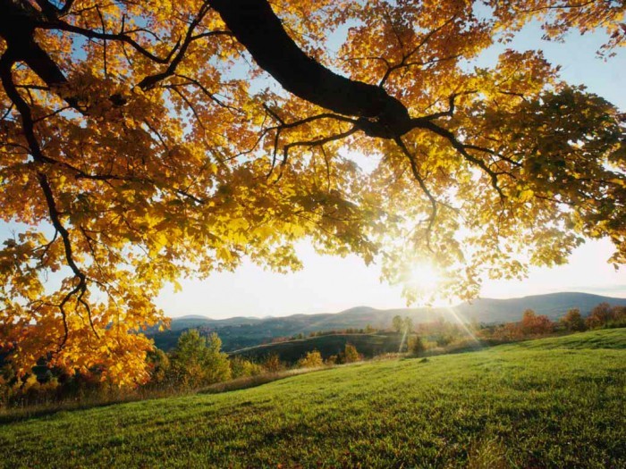 Autum