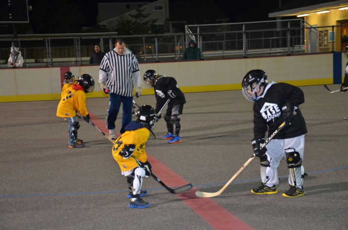 acbp j02 brig hockey league