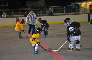 acbp j02 brig hockey league