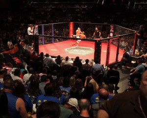 MMA in AC109113106.jpg