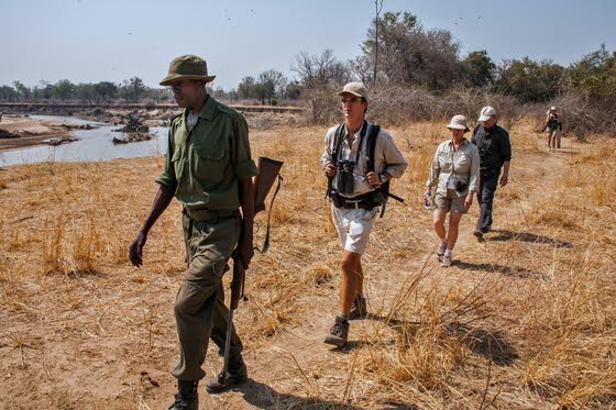 Walking Safari