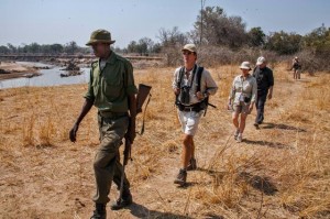 Walking Safari
