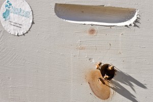 beekeeping112924805.jpg