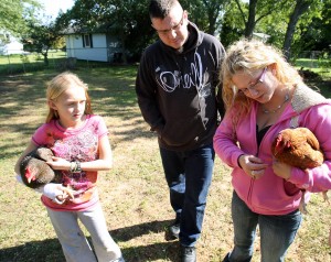 Chickens77510020.jpg
