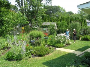 Garden tours go on despite summer's stormy start