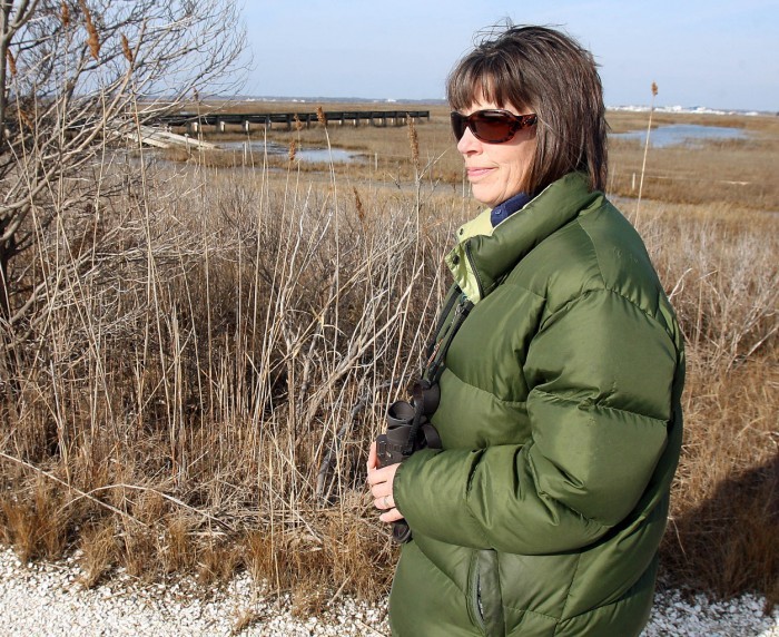 wetlands