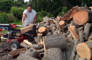 firewood