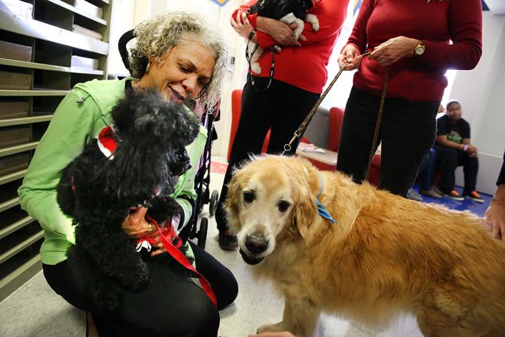 Therapy dogs ease exam stress at Atlantic Cape collection cda 856a 11e4 80b1 37f7a7b4e5e4