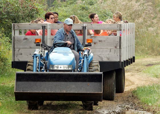 From hayrides to haunted walks, there's plenty to enjoy