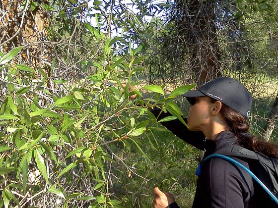 Local teachers leave comfort zone for research program in Wyoming