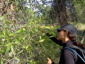 Local teachers leave comfort zone for research program in Wyoming