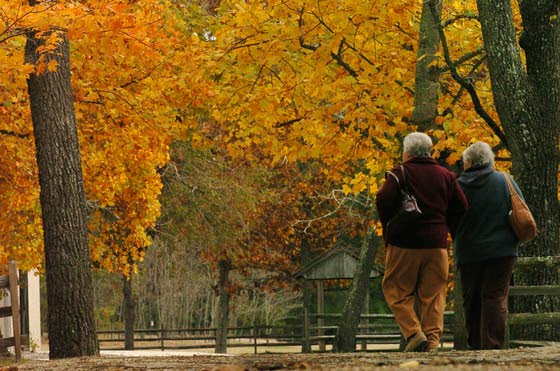No need to leave southern N.J. to enjoy a colorful display of fall foliage