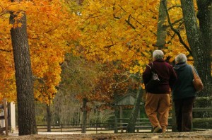 No need to leave southern N.J. to enjoy a colorful display of fall foliage