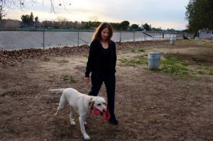 What makes a top dog?