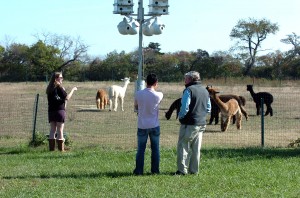LOST FARMS