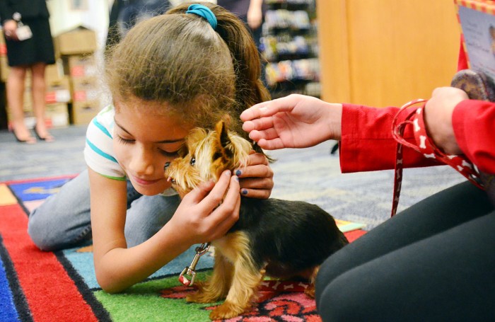 small furry animals108160591.jpg