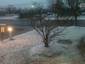 snowing in South Jersey