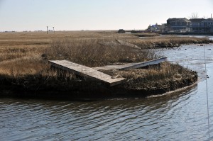 MARINA WOES 