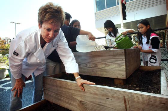 A bounty of benefitsLocal chefs team with community in the garden