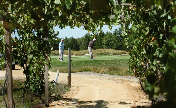 Renault's Deceptive Difficulty: Egg Harbor City course plays smoothly until you hit its quick greens