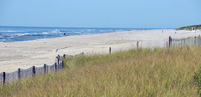BEACH FILLS