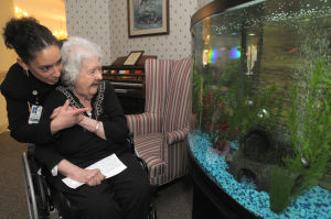 Nursing Homes