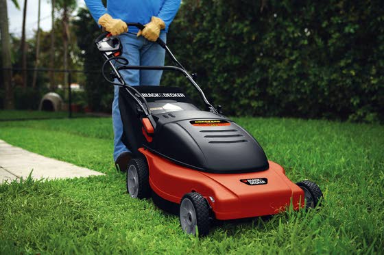 Green Thumbs: Now's the time to start planning for spring gardening and exploring