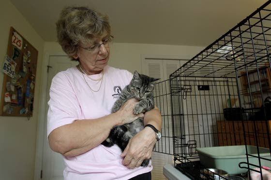Disabilities no longer death sentence for pets