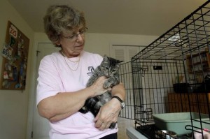 Disabilities no longer death sentence for pets
