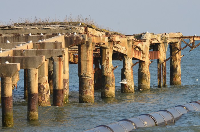 gardenpier