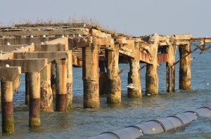 gardenpier