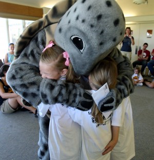 Turtle Release