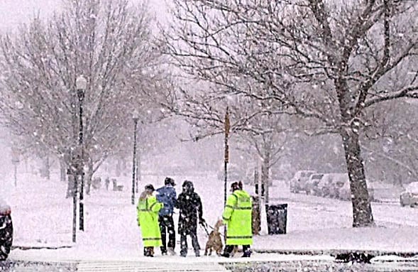 snowlinwood
