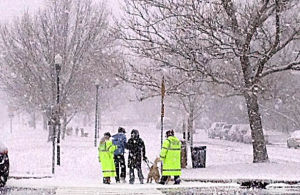 snowlinwood