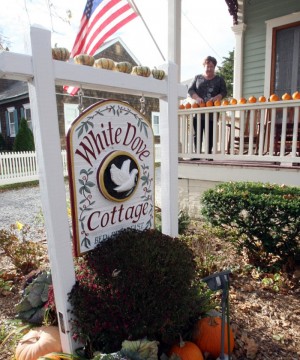 cape may biz
