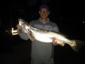 kelly gregory fish photo