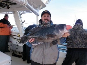 Shep on Fishing: Borrowed rod leads to potential state sea bass record