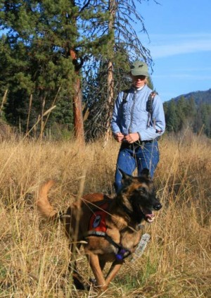Biologists turn to dogs to help understand wildlife